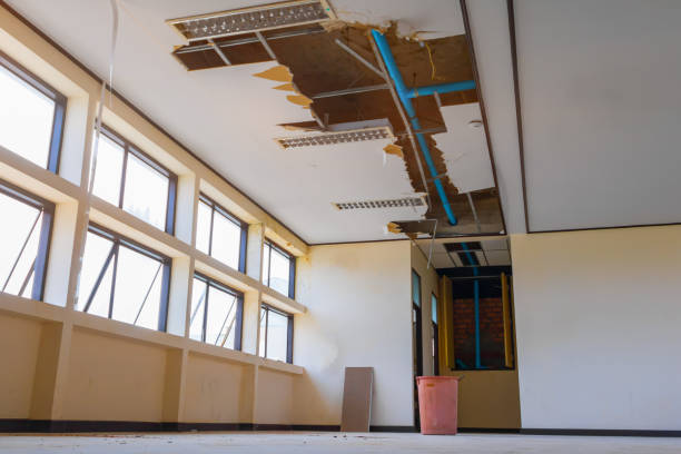 Best Flood damage cleanup  in Sparta, IL