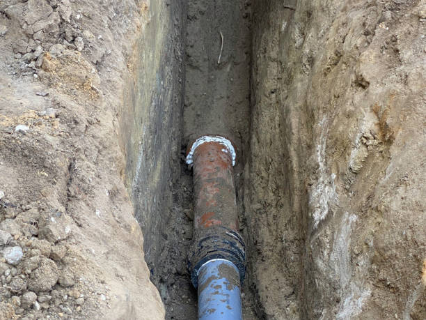 Best Sewage cleanup and water damage restoration  in Sparta, IL