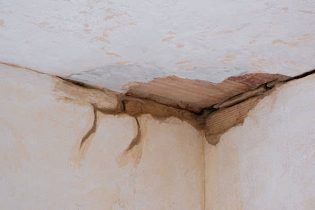 Best Water damage restoration cost  in Sparta, IL