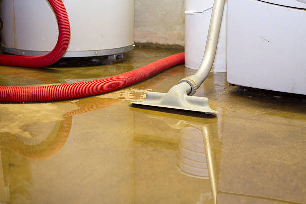 Best 24-hour water damage restoration  in Sparta, IL