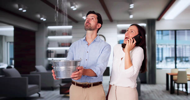 Best Local water damage restoration  in Sparta, IL