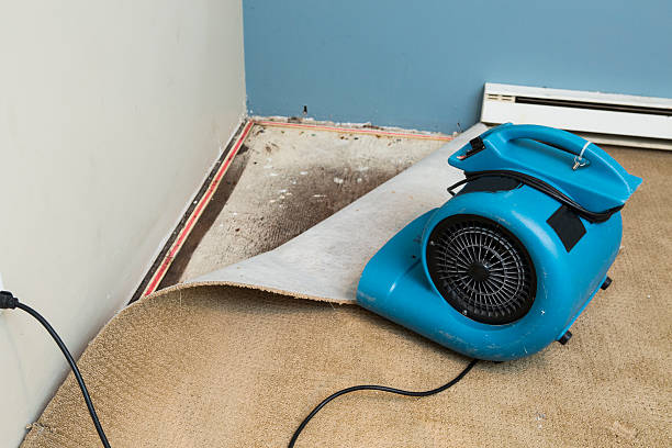 Best Ceiling water damage repair  in Sparta, IL