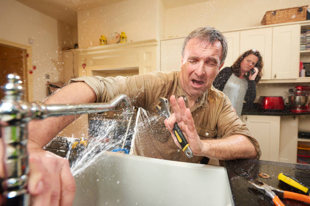 Best Mold removal after water damage  in Sparta, IL